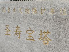 -郑和公园