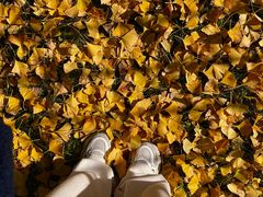 -东钱湖旅游度假区