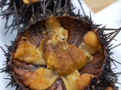 -海胆小馆(东北水饺·春柳店)