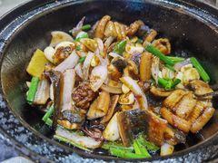 -石岐乳鸽村(南海第三分店)