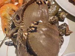 -加餐海鲜自助(集美银泰百货店)