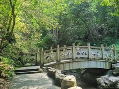 -江西阳明山国家森林公园