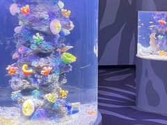 -顺德南宏海立方海洋公园