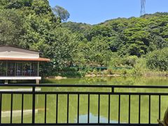 -桃园美食(水库路店)