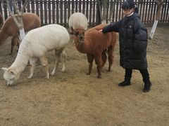 -太阳岛度假酒店