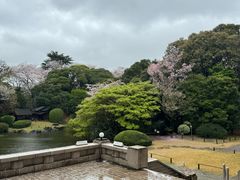 -东京国立博物馆