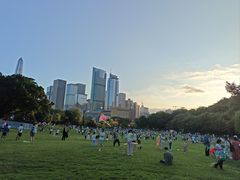 -莲花山公园