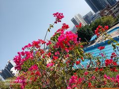 -小南山公园