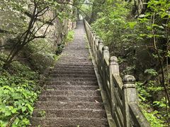 -天目山大树王景区
