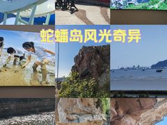 -蛇蟠岛