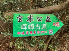 -宝界山林公园