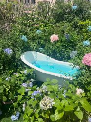 -WAVE SODA摄影工作室