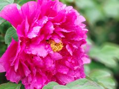 -玄武湖景区-情侣园游乐场