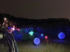 -飞凤山奥体公园