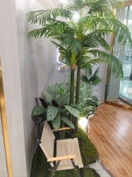 点击看大图 -八佰伴8008星级形象店