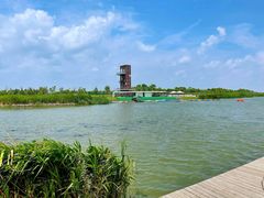 -春花秋色城市公园