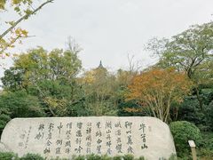 -牛首山文化旅游区