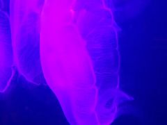 -临沂极地海洋王国