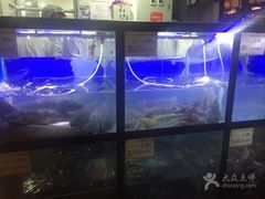 -严厨老坛酸菜鱼(吴江万宝店)