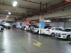 -大润发停车场(春申店)