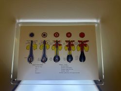 -史云逊养发护发