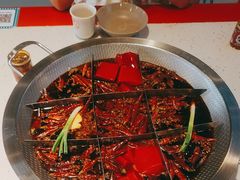 -厂花素芬九宫格火锅(红光店)