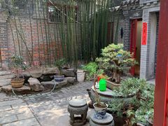 -老张烤羊(王哥庄店)