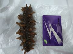 -宫品海参专卖店(黄浦老西门店)