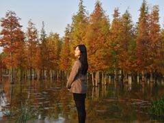 -白鹭湾湿地公园