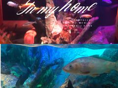 -沈阳海洋探索中心