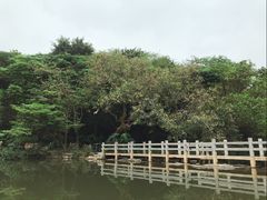 -云溪植物园