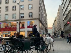 -斯蒂芬主教座堂(Stephansdom)