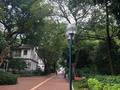 -九龙公园