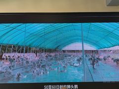 -日日香卤鹅饭店·澄海狮头鹅(澄海店)