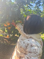 -前小桔亲子创意农场·草莓采摘·露营烧烤