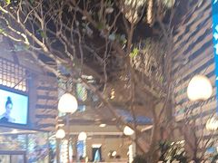 -桂满陇·海市蜃楼·黑金(国金店)