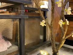 -盛江山自助料理(奥莱锦辉购物广场店)