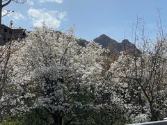 -水峪民俗村