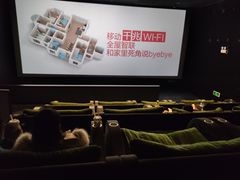 -深影国际影城(学院南路店CGS中国巨幕店)