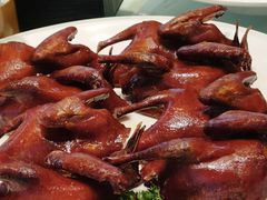 -万龙洲海鲜·粤菜(亚运村店)