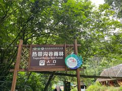 -西双版纳原始森林公园