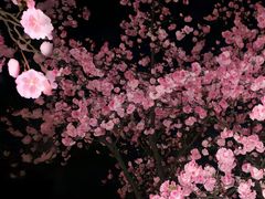 -泰州站