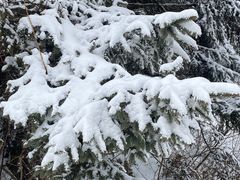 -太子岭滑雪场