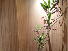 -二酉书店TOYOU BOOKS