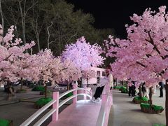 -金茂览秀城