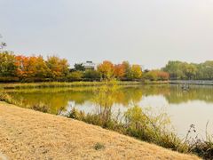 -将府公园