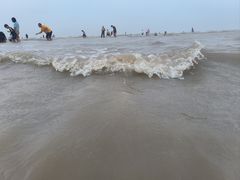 -启东黄金海滩景区