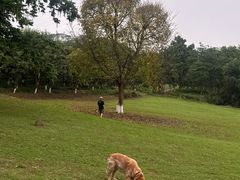 -张坝桂圆林公园