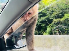 -西岭雪山大飞水景区