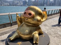 -星光大道